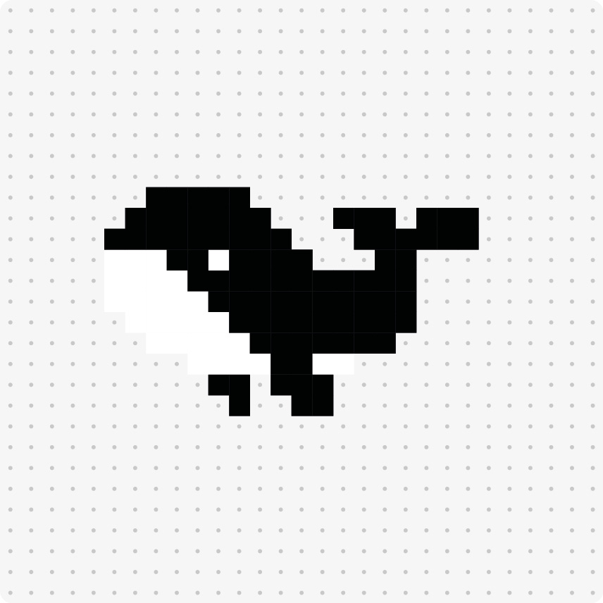 Orca